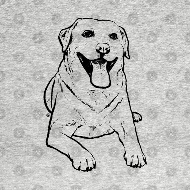 Labrador by Sketchy